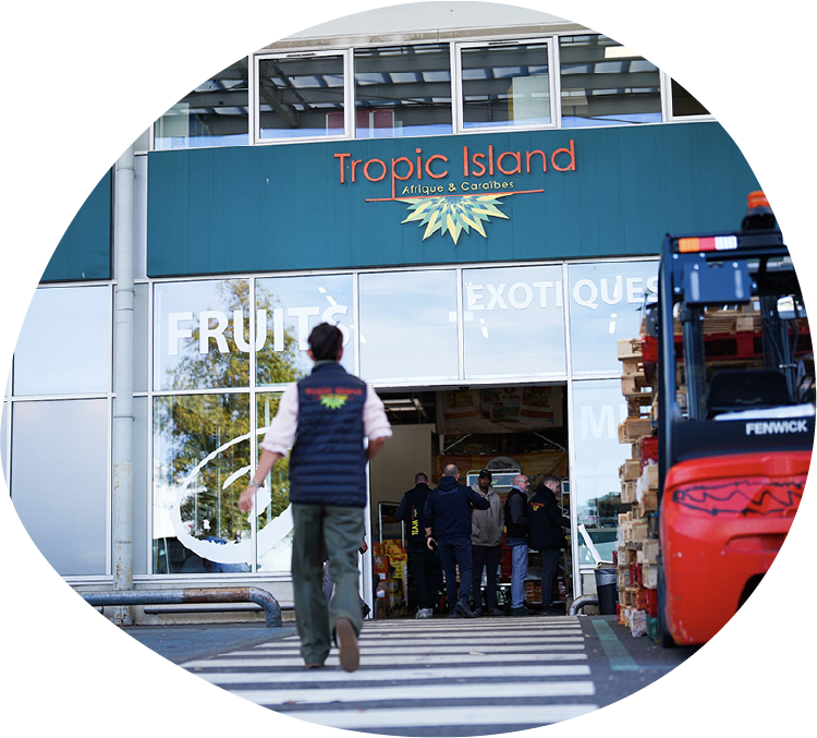 Tropic Island Grossiste produits exotiques africains