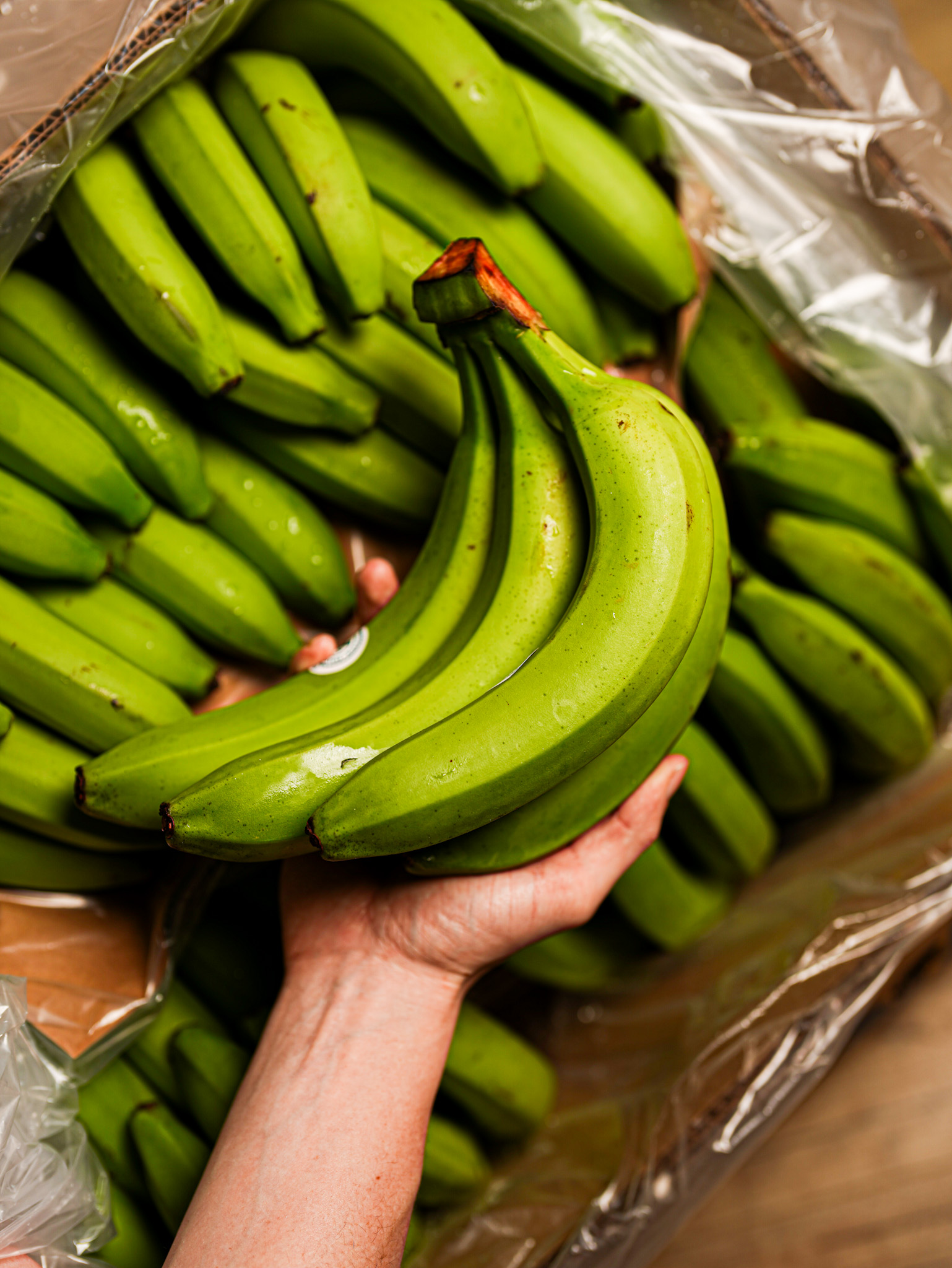 Grossiste banane plantain